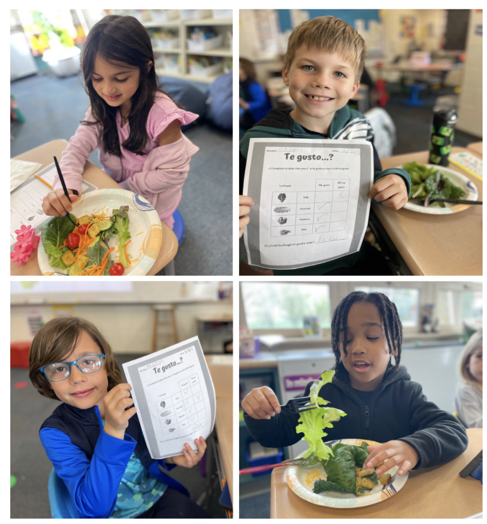 Students participating in a Fresh Salad Activity